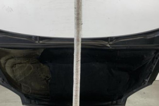 Capot PEUGEOT PARTNER 1