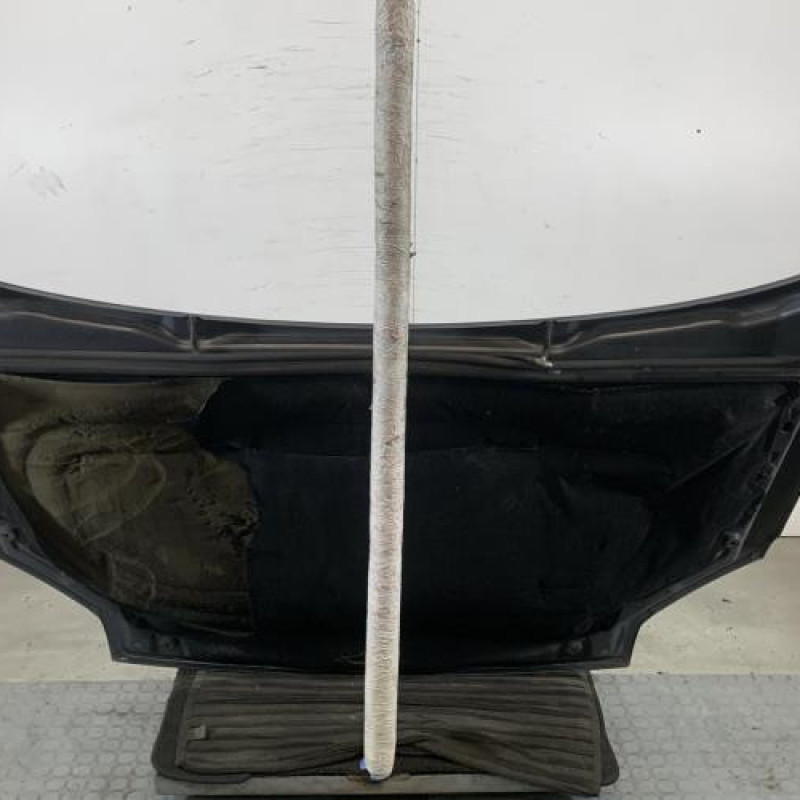 Capot PEUGEOT PARTNER 1 Photo n°6