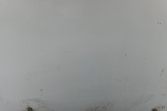 Capot RENAULT CLIO 2