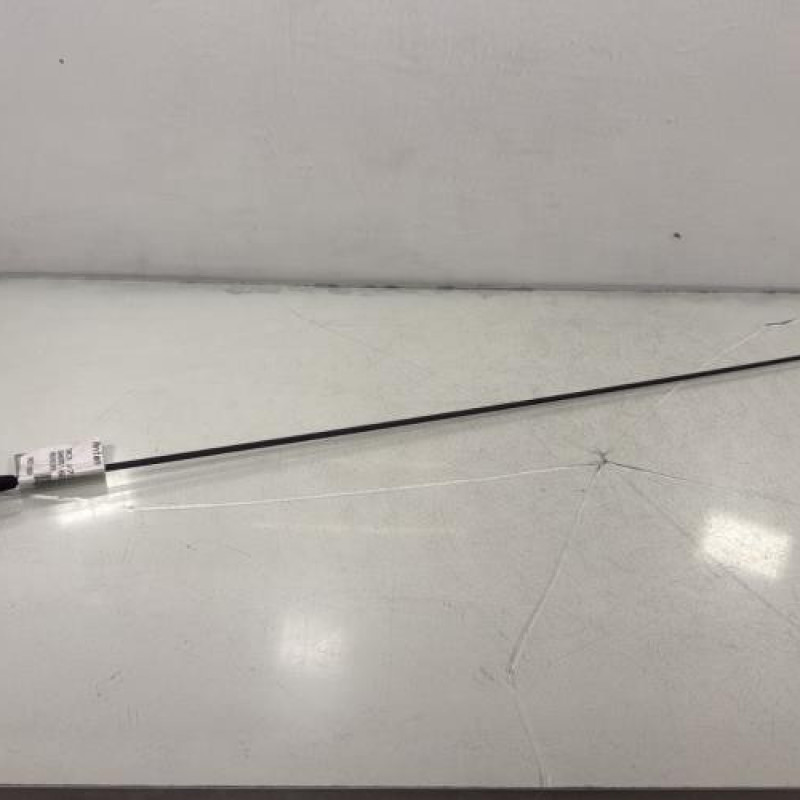 Antenne DACIA SANDERO 2 Photo n°1