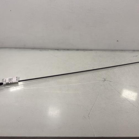 Antenne DACIA SANDERO 2 Photo n°1