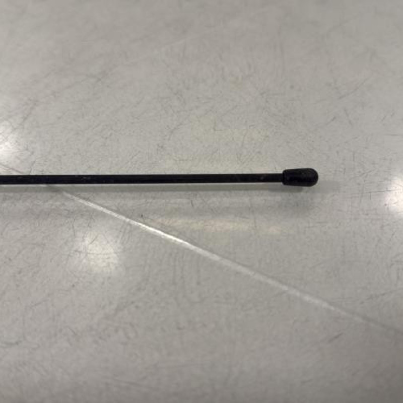 Antenne DACIA SANDERO 2 Photo n°3