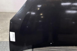 Capot RENAULT TWINGO 2