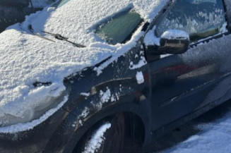 Capot RENAULT TWINGO 2