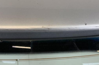 Malle/Hayon arriere AUDI A4 2