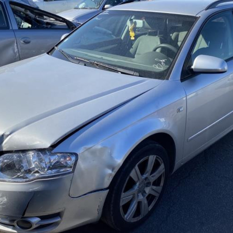 Malle/Hayon arriere AUDI A4 2 Photo n°19