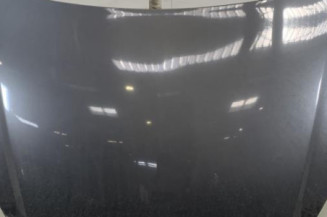 Capot OPEL INSIGNIA 1 Photo n°1