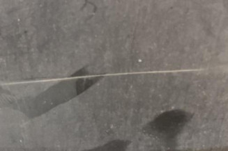 Porte avant droit OPEL INSIGNIA 1