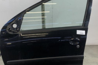 Porte avant gauche PEUGEOT 206+ Photo n°1