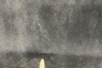 Porte avant gauche VOLKSWAGEN POLO 4