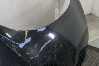 Capot RENAULT GRAND SCENIC 3