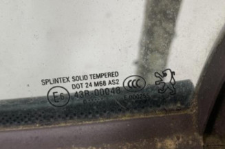 Custode avant gauche (porte) PEUGEOT 307