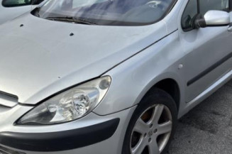 Custode avant gauche (porte) PEUGEOT 307