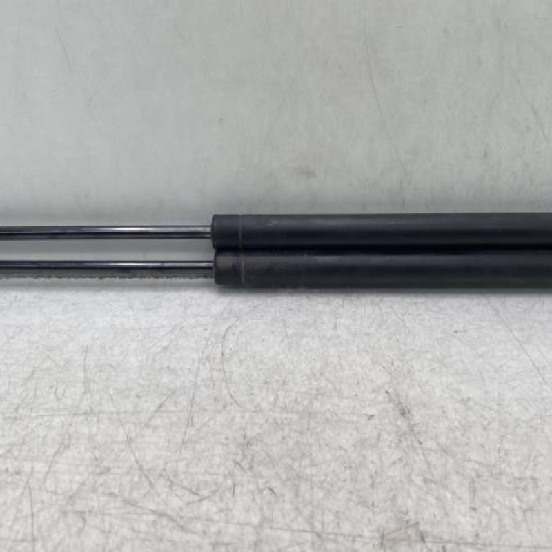 Verin de coffre PEUGEOT 307 Photo n°1