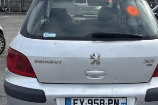 Verin de coffre PEUGEOT 307