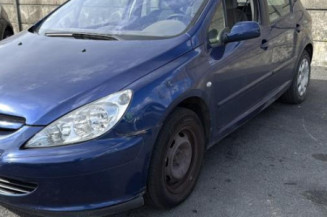 Custode avant gauche (porte) PEUGEOT 307
