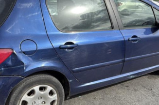 Custode avant gauche (porte) PEUGEOT 307