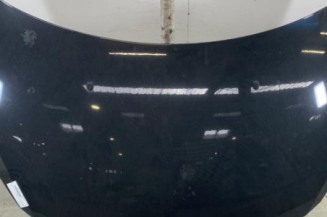 Capot PEUGEOT 307 Photo n°1