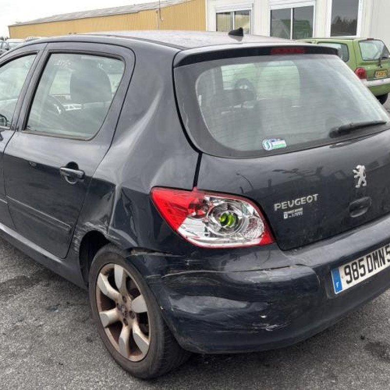 Capot PEUGEOT 307 Photo n°13