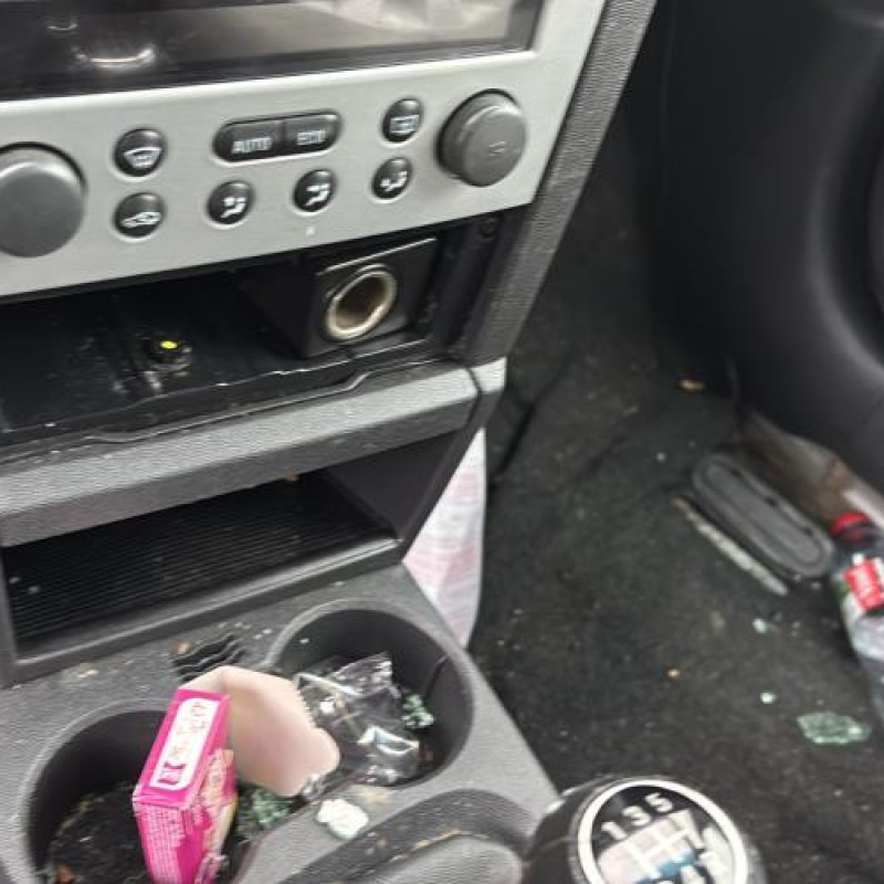 Pulseur d'air OPEL MERIVA A Photo n°20