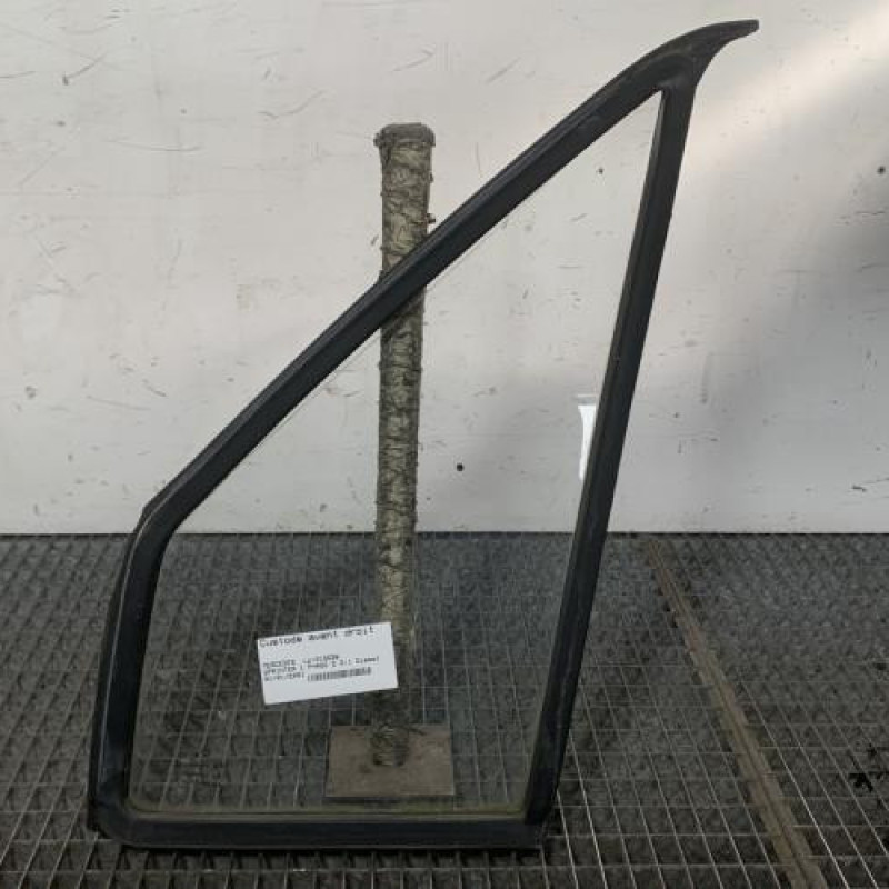 Custode avant droit (porte) MERCEDES SPRINTER 1 Photo n°1