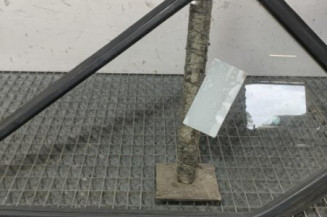 Custode avant gauche (porte) MERCEDES SPRINTER 1