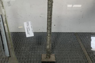 Vitre avant droit MERCEDES SPRINTER 1 Photo n°1