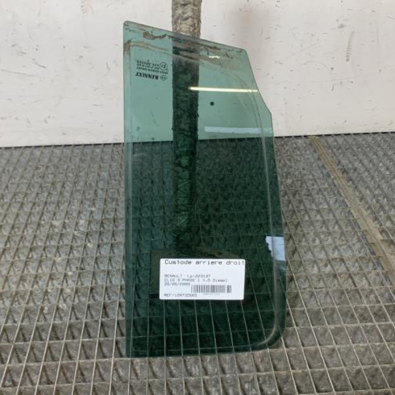 Custode arriere droit (porte) RENAULT CLIO 3 Photo n°1