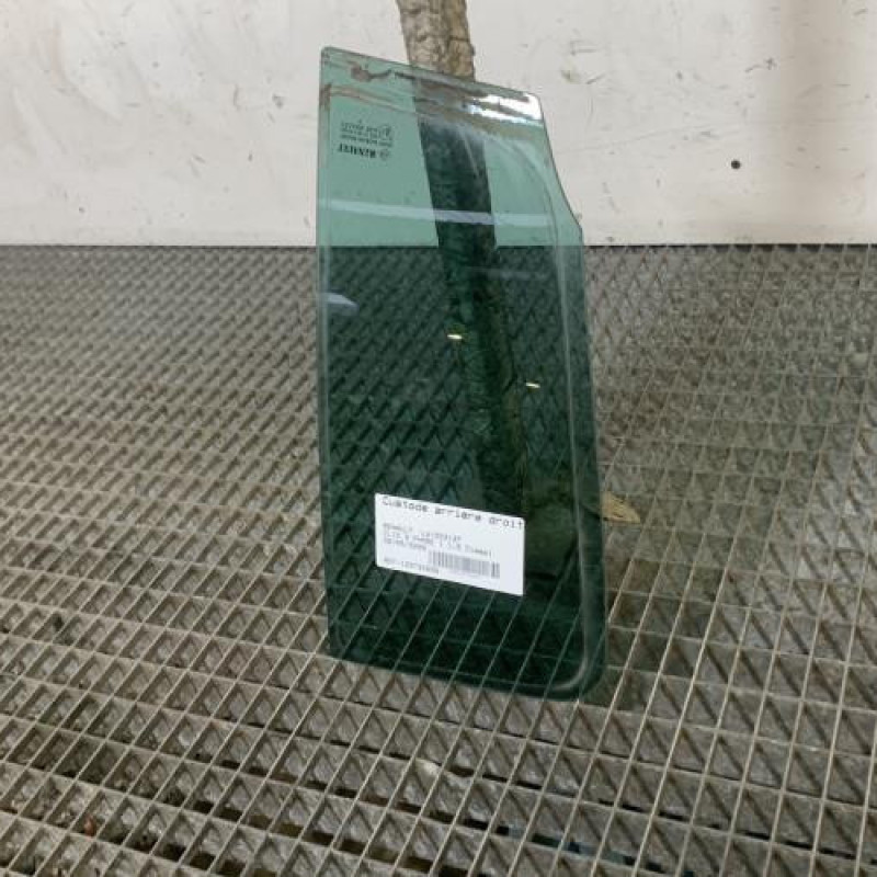 Custode arriere droit (porte) RENAULT CLIO 3 Photo n°3