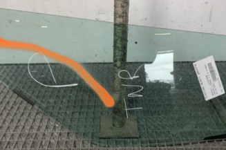 Custode avant gauche (porte) RENAULT MASTER 3 Photo n°1