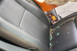 Custode avant gauche (porte) RENAULT MASTER 3