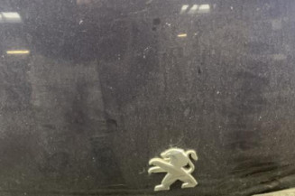 Capot PEUGEOT 308 2