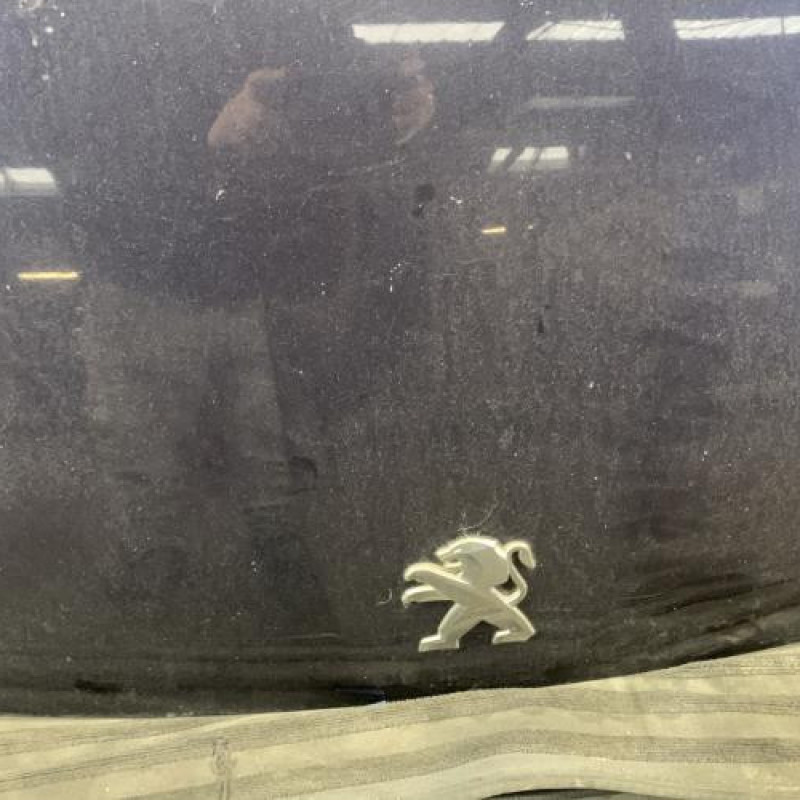 Capot PEUGEOT 308 2 Photo n°3