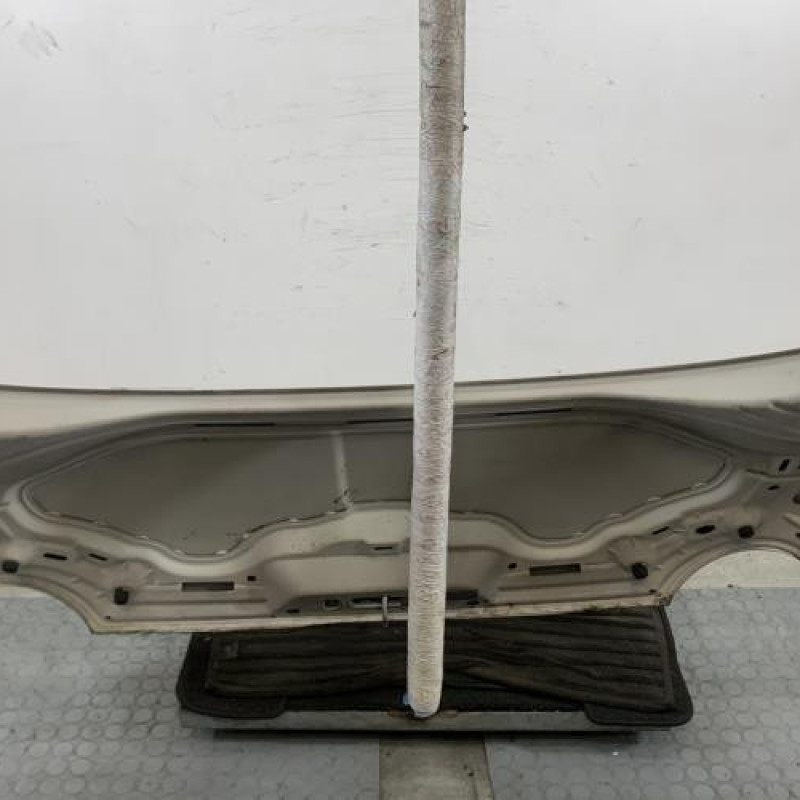 Capot FIAT 500 2 Photo n°5