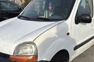 Bouton de warning RENAULT KANGOO 1