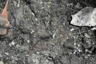 Avertisseur/Klaxon FORD C-MAX 1