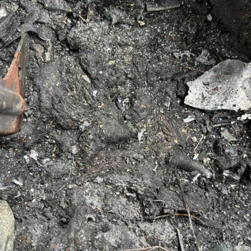 Avertisseur/Klaxon FORD C-MAX 1 Photo n°13