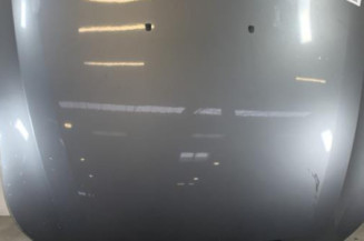 Capot BMW SERIE 5 E61 Photo n°1