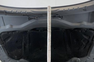 Capot BMW SERIE 5 E61