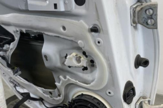 Porte arriere gauche CITROEN C4 2