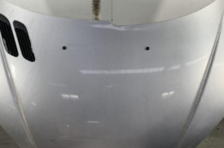 Capot PEUGEOT 206 Photo n°1