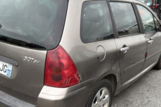 Feu arriere principal gauche (feux) PEUGEOT 307