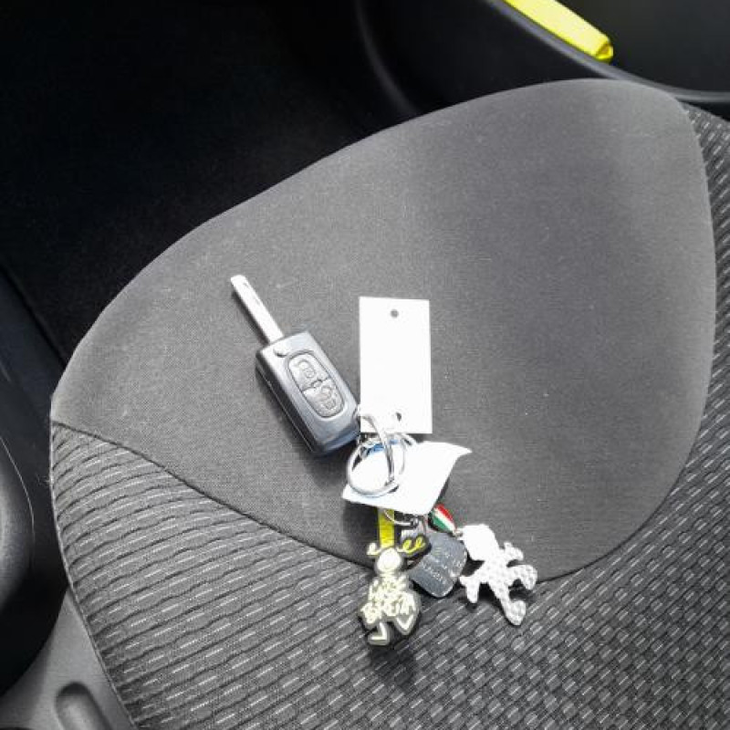 Serrure arriere droit CITROEN C3 1 Photo n°20