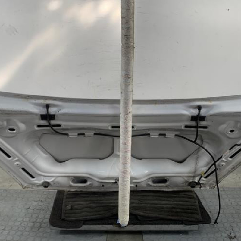 Capot PEUGEOT PARTNER 2 Photo n°6