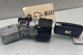 Neiman PEUGEOT 308 1 Photo n°1