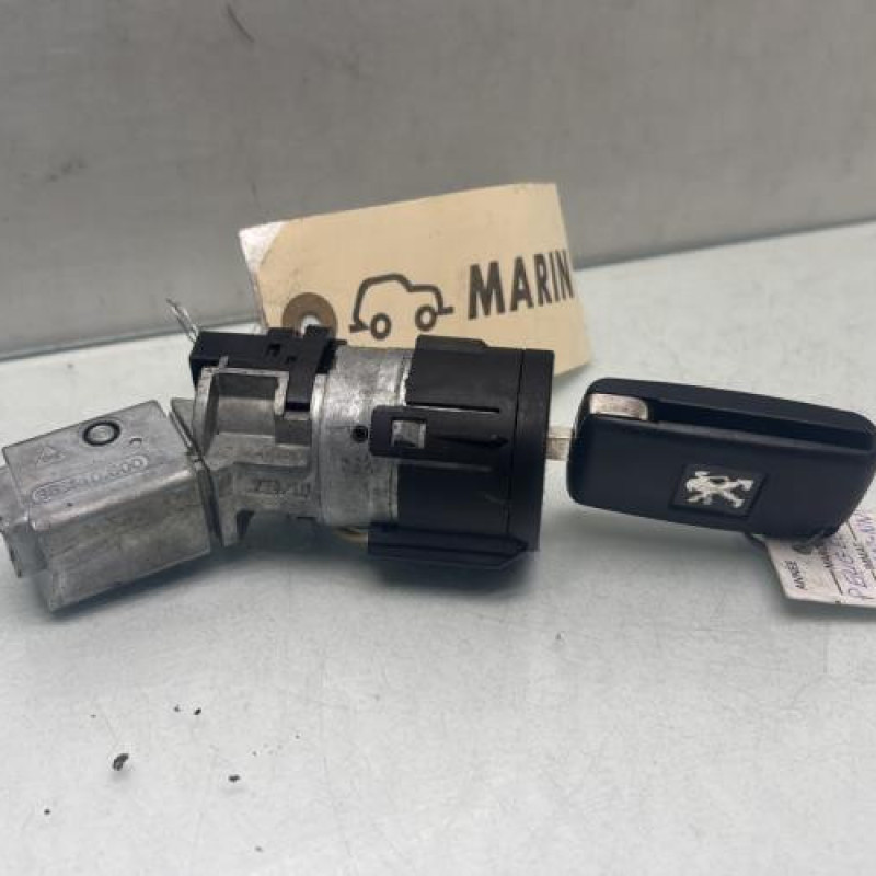 Neiman PEUGEOT 308 1 Photo n°1