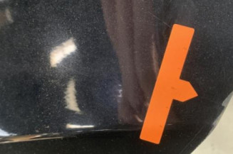 Porte arriere gauche MERCEDES CLASSE M 164