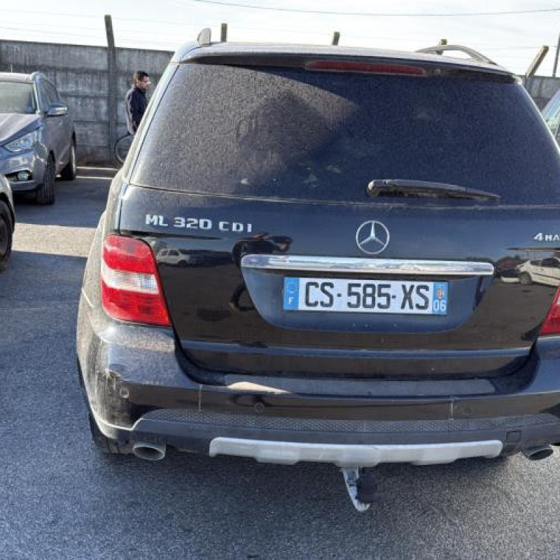 Porte arriere gauche MERCEDES CLASSE M 164 Photo n°12