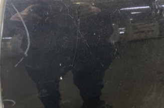 Porte avant gauche MERCEDES CLASSE M 164