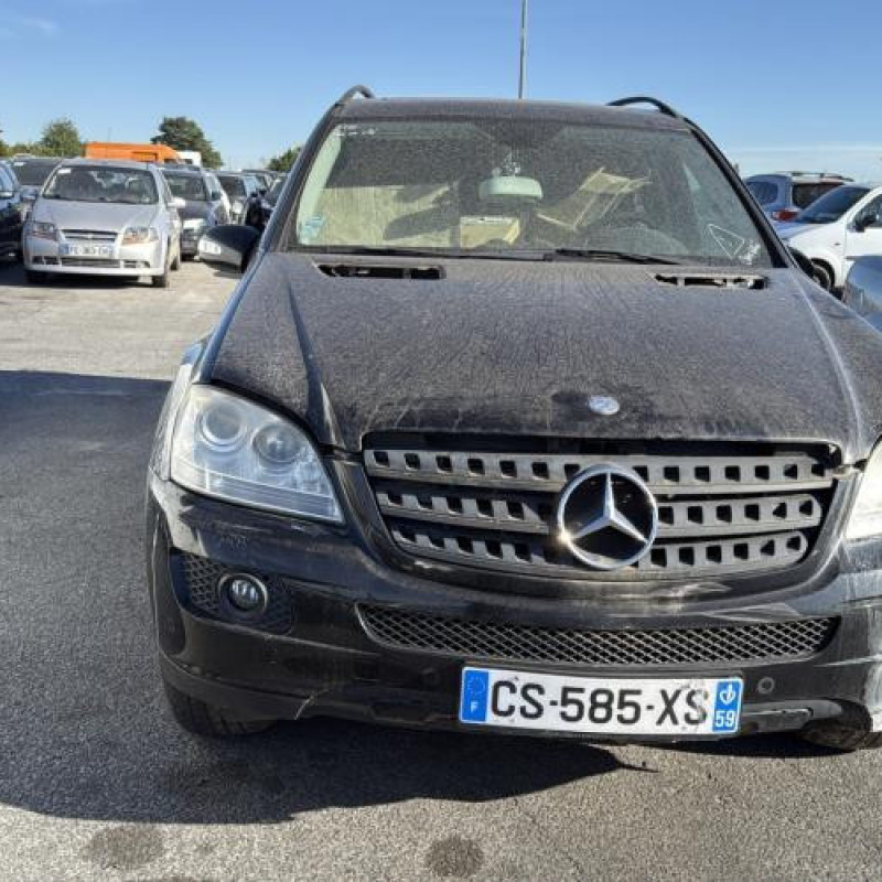 Porte avant gauche MERCEDES CLASSE M 164 Photo n°14